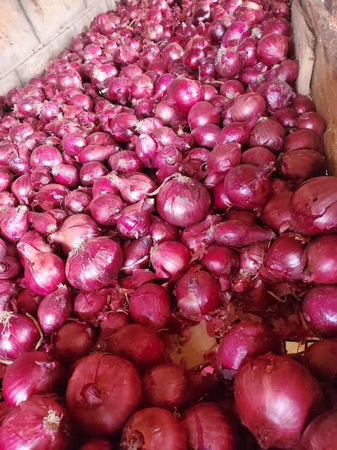 Dry Red Onions